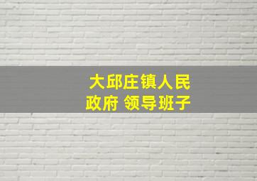 大邱庄镇人民政府 领导班子